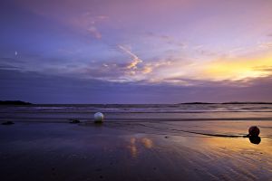 Beach Buoys